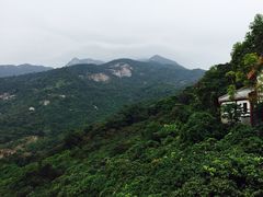 -罗浮山·罗园农庄