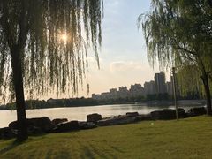 -南翔镇银翔湖公园
