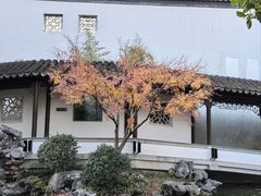-秋霞圃