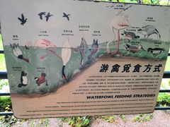 -九龙公园