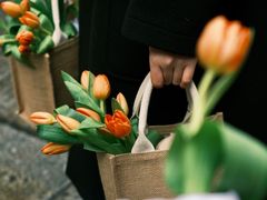 -苏家巷36号公馆