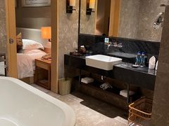 -河源万绿湖美思威尔顿酒店