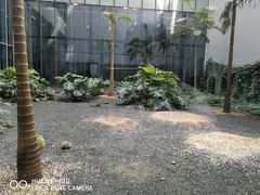 -百年朱苦拉咖啡(博物馆店)