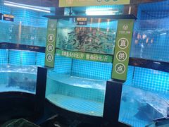 -千岛湖小鱼儿·淳安匠心农家菜