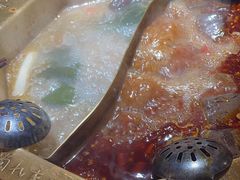 -蜀九香火锅(彩虹店)