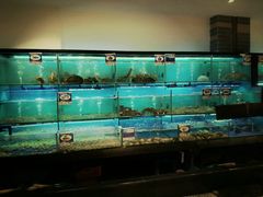 -南海渔家•海鲜•正宗海南菜(海棠湾店)