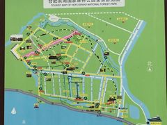 -合肥滨湖国家森林公园