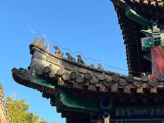 -洛阳白马寺
