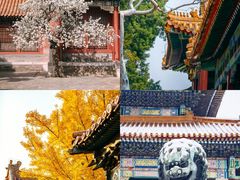 -故宫博物院(故宫)