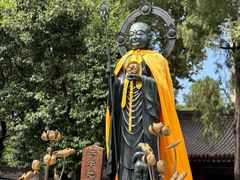 -西安大兴善寺