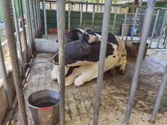 -洪湖家庭农场·团建·露营·会议