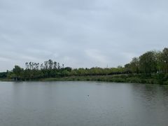 -东郊湿地公园