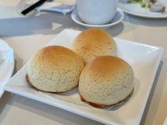 雪顶雄峰-利苑酒家(金宝店)