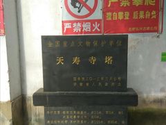 -天寿寺塔院