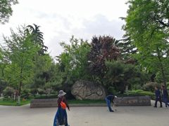 -莲湖公园