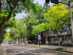 -囿面传统制面馆(中央路店)
