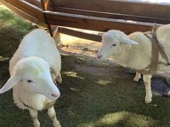 -HERRE·FARM 赫尔露营农场·团建聚会包场