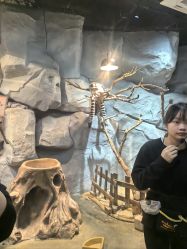 -Zoolung Zoolung动物主题公园(海信广场店)