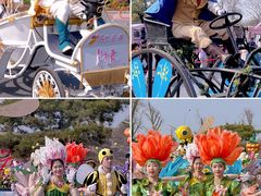 -荷兰花海
