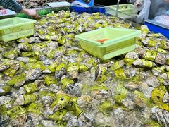 -万达广场(东莞东城店)