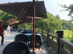 -闻莺馆(柳浪闻莺店)