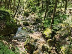 -牛背梁国家森林公园