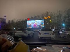 -枫花园汽车电影院(朝阳公园店)