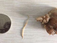 -豪客来牛排(成都锦江大融城店)