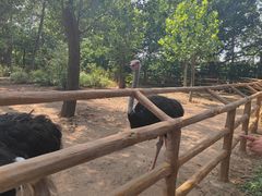 -大连森林动物园