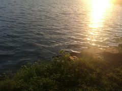 -苏堤停车场