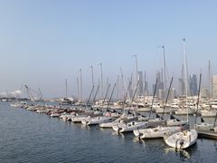 -青岛奥林匹克帆船中心
