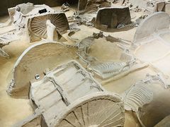 -洛阳周王城天子驾六博物馆