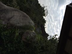 iphone_upload_pic-三亚亚龙湾人间天堂鸟巢度假村