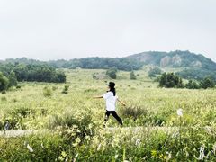 -白草畔自然风景区