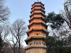 -灵谷景区