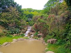 -广州市帽峰山景区