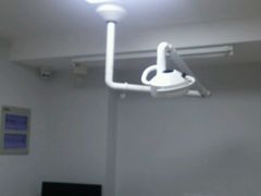 -爱侣宠医·鹦鹉专科·小型哺乳类·异宠专科(灵石路店)