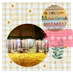 -恐龙探索乐园(磁器口店)