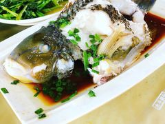 清蒸青衣鱼-四川小胡子海鲜(丁村万人海鲜广场店)