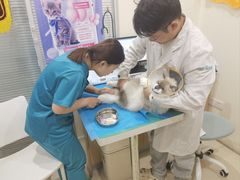 -美迦爱-牙专科·兔科·骨科诊疗中心(北苑店)