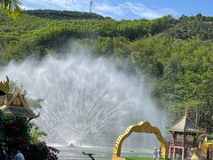 -西双版纳原始森林公园