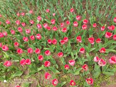 -长春公园(普阳街道)