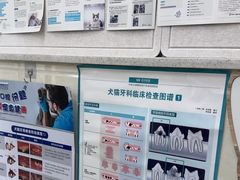 -瑞鹏宠物医院·微创内窥镜·骨外科·牙科(翠竹分院)
