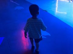 -烟台海昌鲸鲨海洋公园