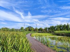-永定河休闲森林公园