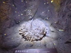 -正佳自然科学博物馆