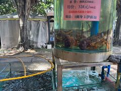 -荔城生鲜盛宴(番禺旗舰店)