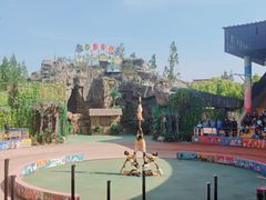 -上海野生动物园