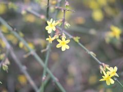 -张家港凤凰山景区河阳山歌馆