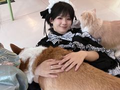 -平行世界·猫咖(首经贸店)